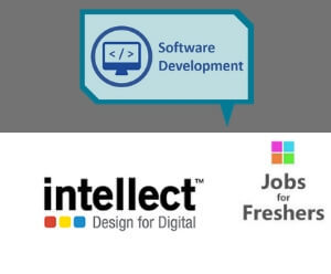 Software Developer