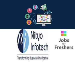 Software Developer