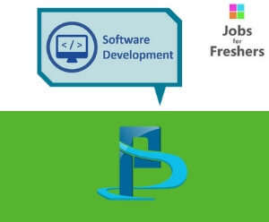 Software Developer