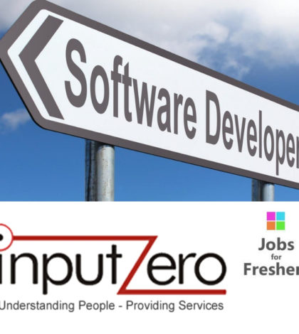 Software Developer