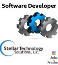 Software Developer