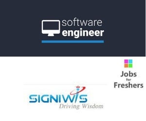Software Developer