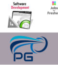 Software Developer