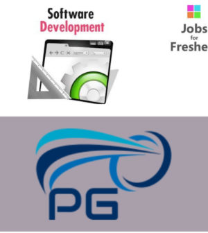 Software Developer