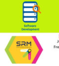 Software Developer