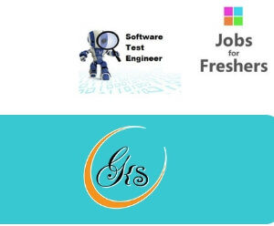 Software Tester