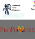Software Tester