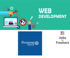 Web Developer