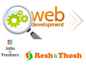Web Developer