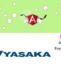 Angular Developer