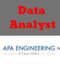 Data Analyst