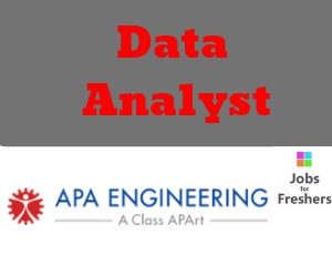 Data Analyst