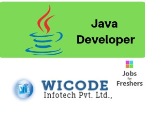 Java Developer