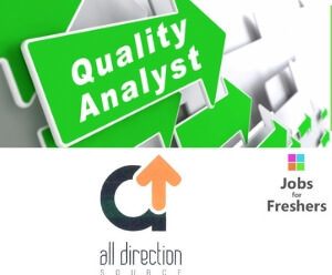 Quality Analyst