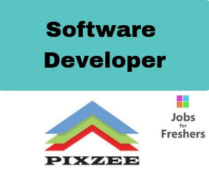 Software Developer