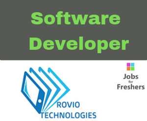 Software Developer