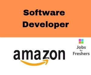 Software Developer