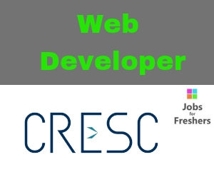 web Developer