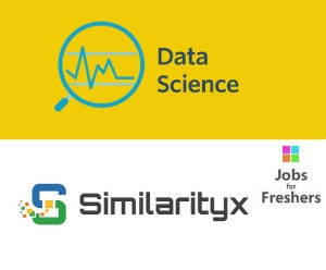 Data scientist