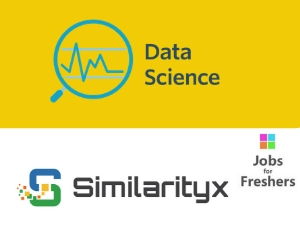 Data scientist