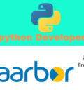 Python Developer