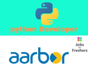 Python Developer