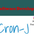 Software Developer