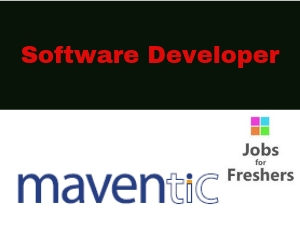 Software Developer