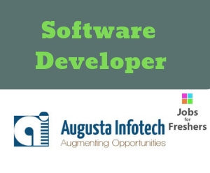 Software Developer