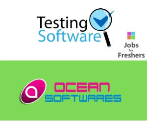 Software Testing