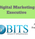 Digital Marketing Executive