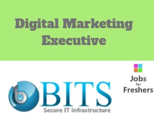 Digital Marketing Executive