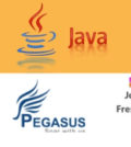 Java Developer