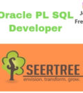 Oracle PL SQL Developer