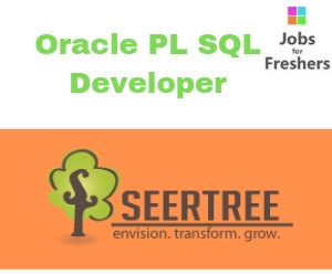 Oracle PL SQL Developer