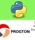 Python Developer