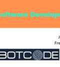 Software Developer