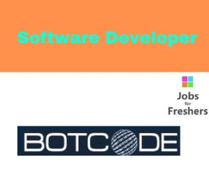 Software Developer