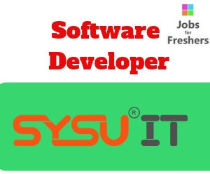 Software Developer