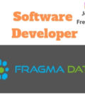 Software Developer