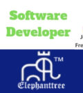 Software Developer