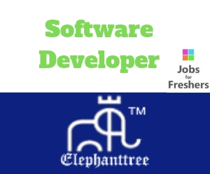 Software Developer